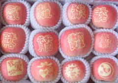 劃重點啦！大家都在看！五月份蘋果管理技術要點