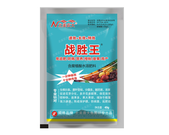 戰(zhàn)勝王 特效型 40g