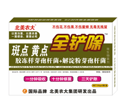 斑點黃點全鏟除