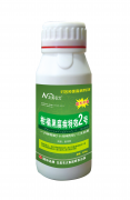 柑橘黑腐病除凈2號