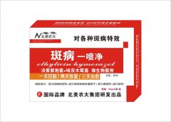 斑病一噴凈