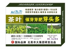 茶葉催芽芽肥芽頭多