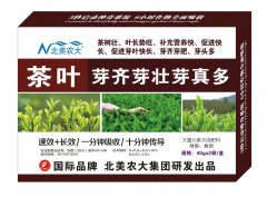 茶葉芽齊芽壯芽真多