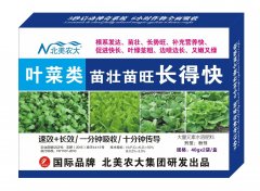 葉菜類苗壯苗旺長的快