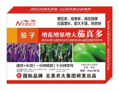 茄子增花增果增大茄真多