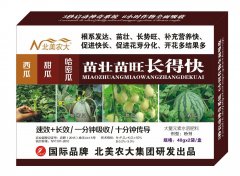 西瓜甜瓜哈密瓜苗壯苗旺長得快