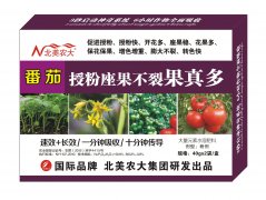 番茄授粉座果不裂果真多
