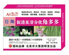 豆角促進花芽分化角多多