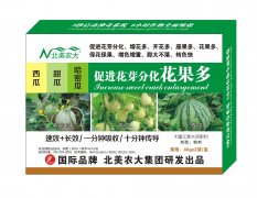 西瓜甜瓜哈密瓜促進花芽分化花果多