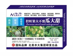 西瓜甜瓜哈密瓜控旺果大不裂瓜大甜