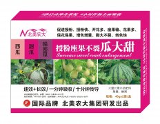 西瓜甜瓜哈密瓜授粉座果不裂瓜大甜