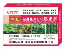 黃瓜促進花芽分化瓜果多 葉面調(diào)節(jié)劑