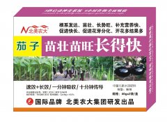 茄子苗壯苗旺長得快 葉面肥系列