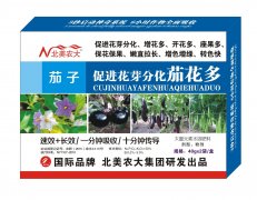 茄子促進花芽分化茄花多 葉面調節(jié)劑