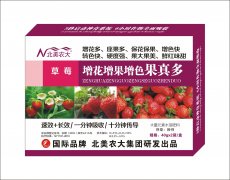 草莓增花增果增色果真多