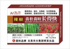 辣椒苗壯苗旺長得快 葉面肥調節(jié)劑