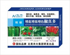 辣椒增花增果增色椒真多