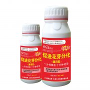 促進(jìn)花芽分化-通用型