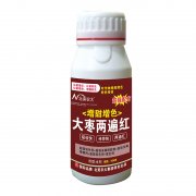 大棗增甜增色兩遍紅