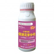 大棗專(zhuān)用促進(jìn)花芽分化