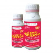 火龍果專用促進(jìn)花芽分化