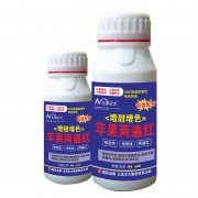 蘋果增甜增色兩遍紅