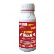 石榴增甜增色兩遍紅