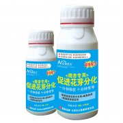 桃杏專用促進(jìn)花芽分化