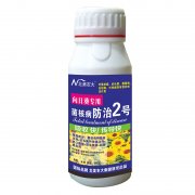 向日葵專用菌核病防治2號(hào)