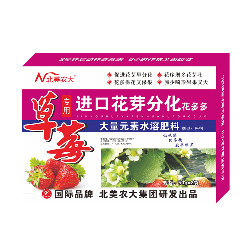 草莓專用進口花芽分化花多多