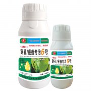 進(jìn)口穿孔瘡痂專治6號(hào)