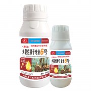 進(jìn)口大姜爛脖子專治6號(hào)