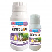 進(jìn)口黑脛病專治6號(hào)