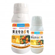 進(jìn)口黃龍專治6號(hào)