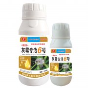 進(jìn)口灰霉專治6號