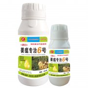 進(jìn)口姜瘟專治6號