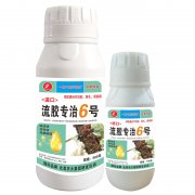 進(jìn)口流膠專治6號