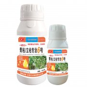 進口青枯立枯專治6號