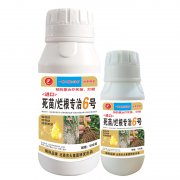進口死苗爛根專治6號
