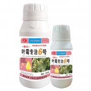 進(jìn)口葉霉專治6號
