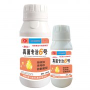 進(jìn)口真菌專治6號