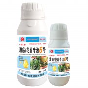 進(jìn)口潰瘍花腐專治6號