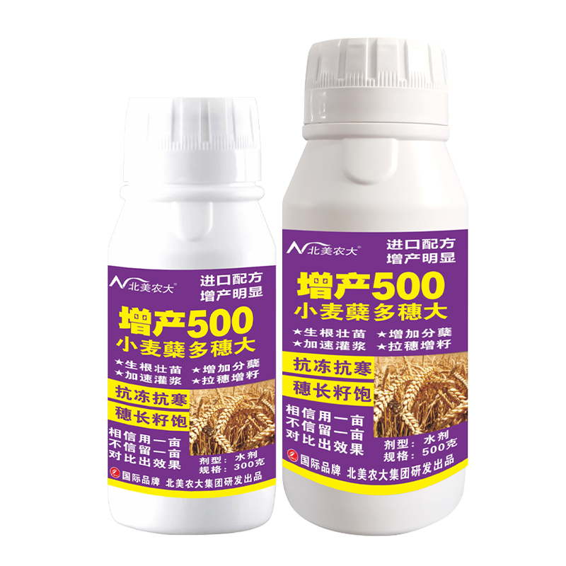 北美小麥蘗多穗大增產(chǎn)500  300g+500g