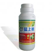 棉花高產(chǎn)猛上桃——調(diào)節(jié)劑