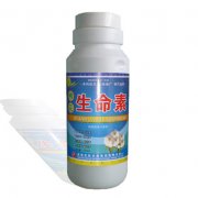 棉花生命素——調(diào)節(jié)劑