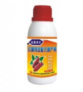 紅薯特效膨大增產(chǎn)素——調(diào)節(jié)劑