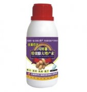 馬鈴薯特效膨大增產(chǎn)素——調(diào)節(jié)劑