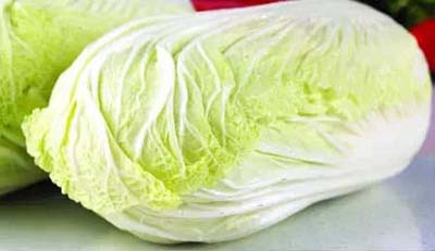 百菜不如白菜，大白菜軟腐病的防治方法