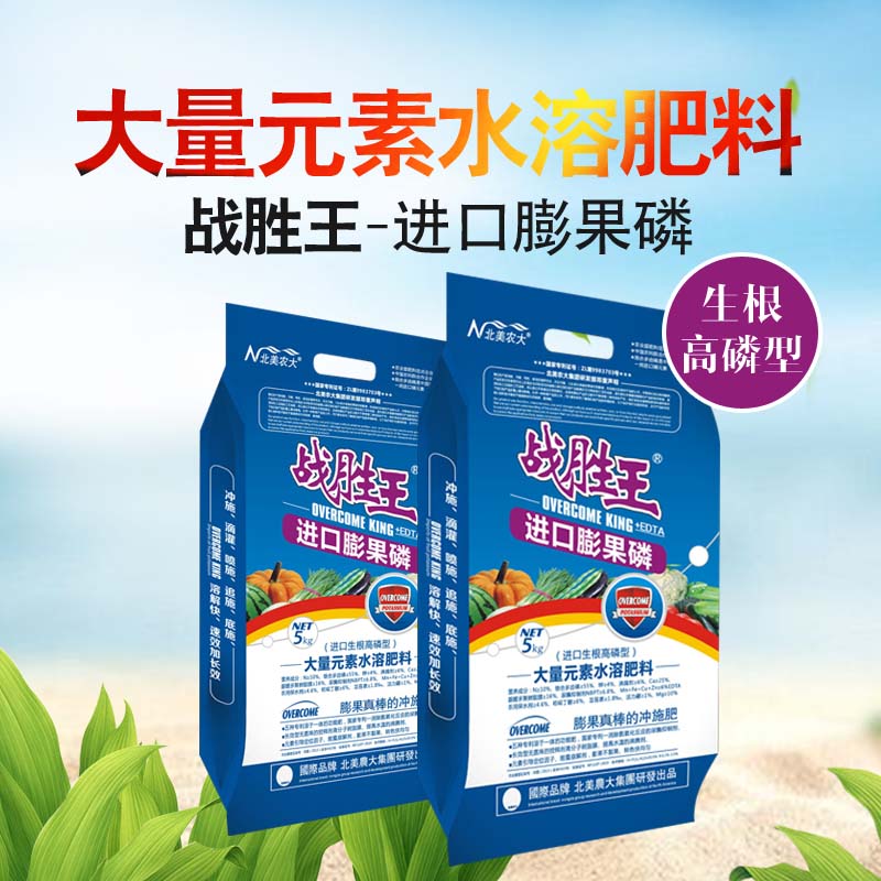 菠蘿沖施肥,葉面肥,水溶肥,液體肥,進口水溶肥