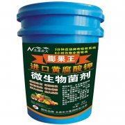 進(jìn)口黃腐酸鉀膨果王 沖施肥